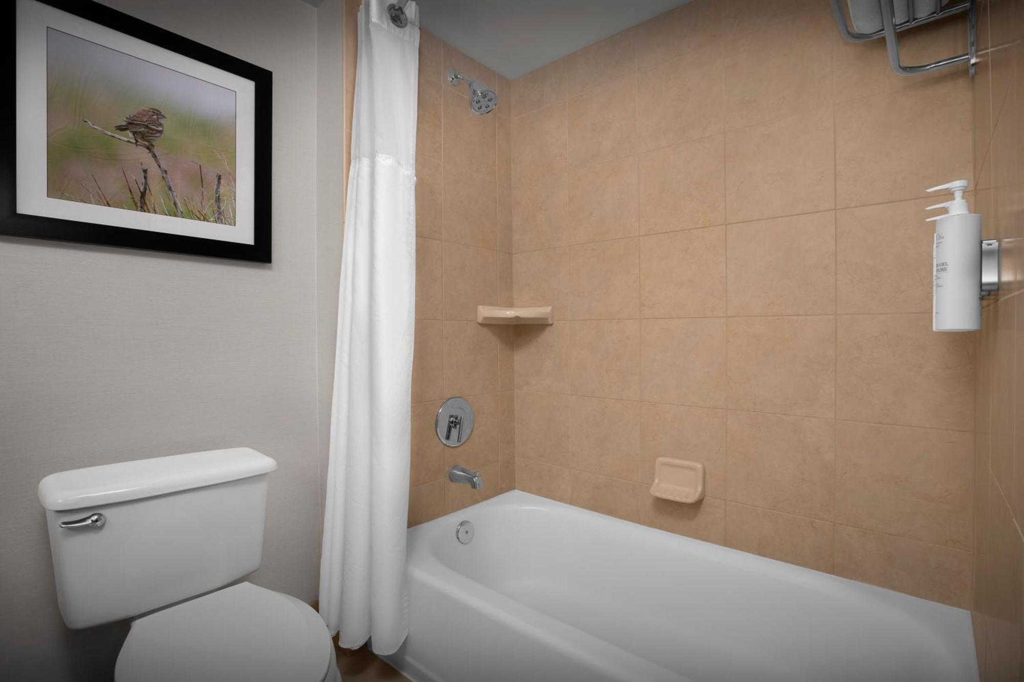 Hilton Garden Inn Denver Highlands Ranch Exterior foto